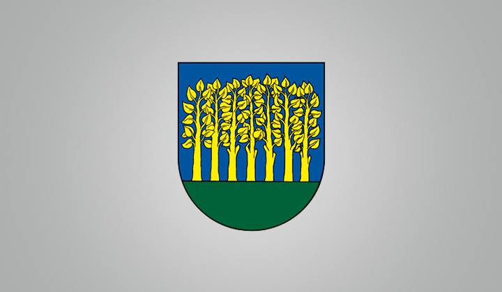 Nový Salaš