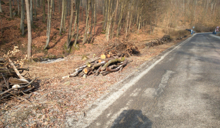 Jarné upratovanie popri ceste