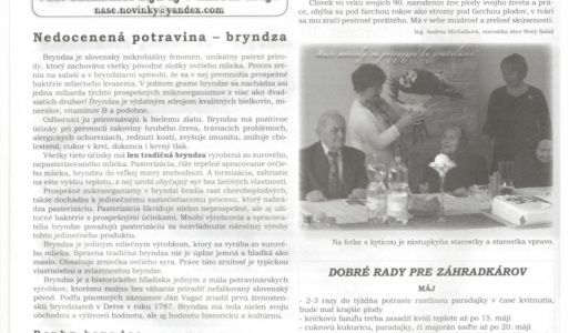 Obecná sánkovačka 1. ročník