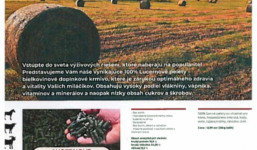 Posedenie s dôchodcami