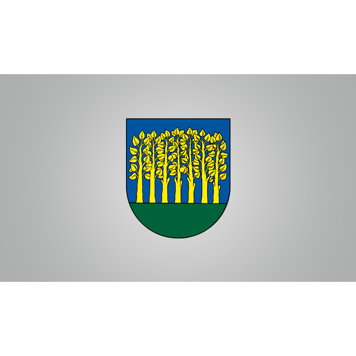 Referendum 04.07.2026