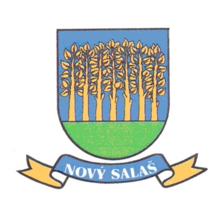 Voľba hlavného kontrolóra obce Nový Salaš